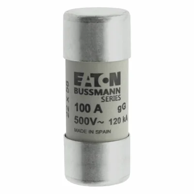 C22G100 Cylindrical insert 22 x 58 mm 100A GG 500V AC