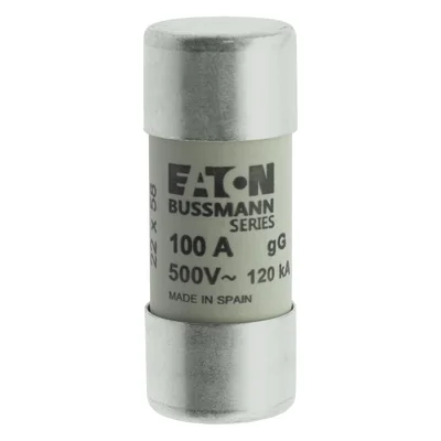 C22G100 Cylindrical insert 22 x 58 mm 100A GG 500V AC