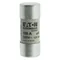 C22G100 Cylindrical insert 22 x 58 mm 100A GG 500V AC