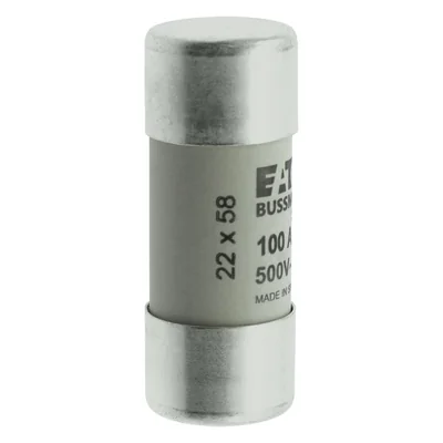 C22G100 Cylindrical insert 22 x 58 mm 100A GG 500V AC