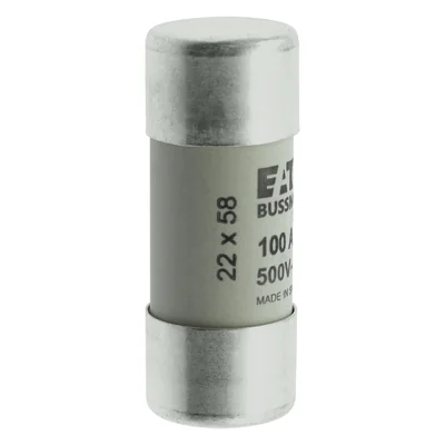 C22G100 Cylindrical insert 22 x 58 mm 100A GG 500V AC
