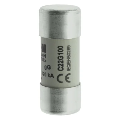 C22G100 Válcová vložka 22 x 58 mm 100A GG 500V AC
