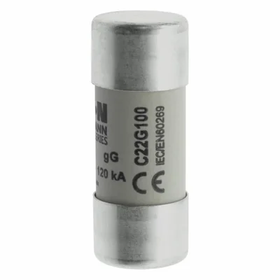 C22G100 Zylindrischer Einsatz 22 x 58 mm 100 A GG 500 V AC