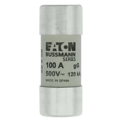 C22G100 Zylindrischer Einsatz 22 x 58 mm 100 A GG 500 V AC