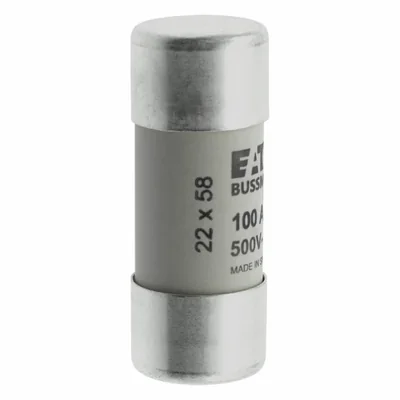 C22G100 Zylindrischer Einsatz 22 x 58 mm 100 A GG 500 V AC