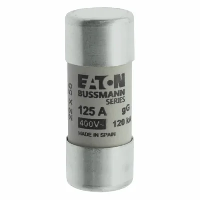 C22G125 Cylindrical insert 22 x 58 mm 125A GG 400V AC