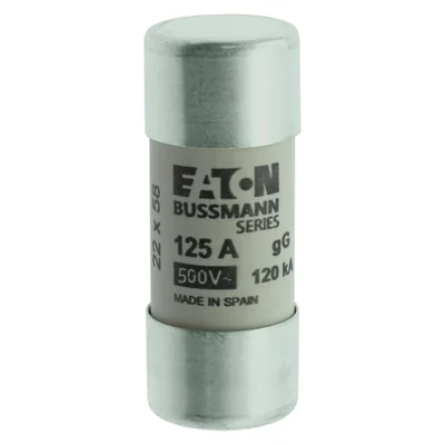C22G125 Cylindrical insert 22 x 58 mm 125A GG 400V AC