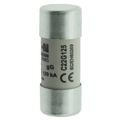 C22G125 Cylindrical insert 22 x 58 mm 125A GG 400V AC