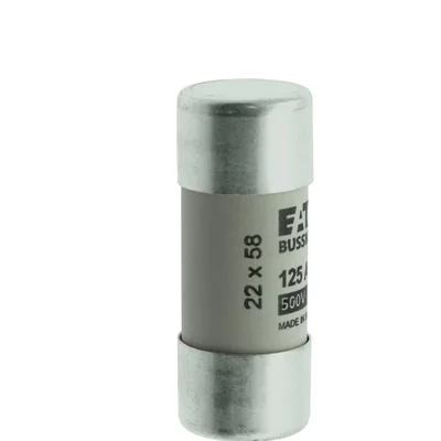C22G125 Cylindrical insert 22 x 58 mm 125A GG 400V AC