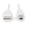 CABLE USB A/USB B M/M 2MB
