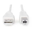 CABLE USB A/USB B M/M 2MB