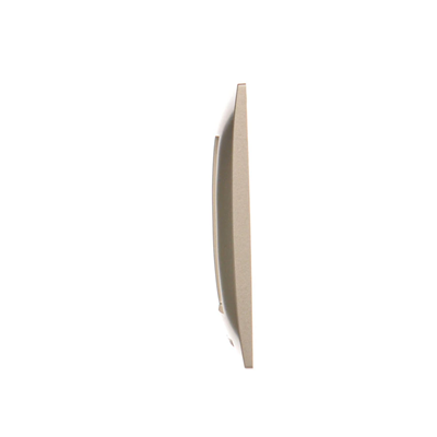 Cadre universel 1 poste pour boîtes en plaques de plâtre IP20 / IP44 or (métallique)