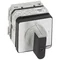 CAM SWITCH 0-1 PR21 25 A 2P