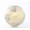 CAMEA Plafon 75W E27 IP44 opal biały