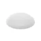 Camea RCR 75W luminaire with transparent white cover