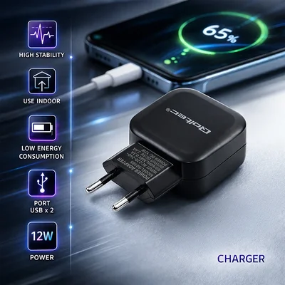 Caricabatterie da parete Qoltec 12W | 5V | 2.4A | 2xUSB