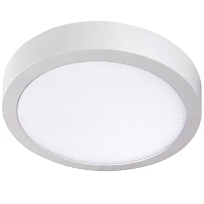 CARSA V2LED 24W-NW-W Oprawa oświetleniowa LED