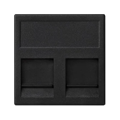 Carte K45 2x RJ avec capot BELDENCDT gris graphite