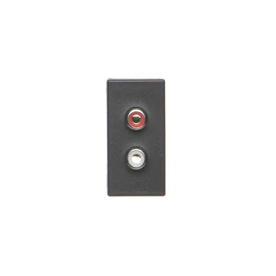 Carte K45/2, 2x RCA (CINCH) 22, 5x45mm + inserts, gris graphite
