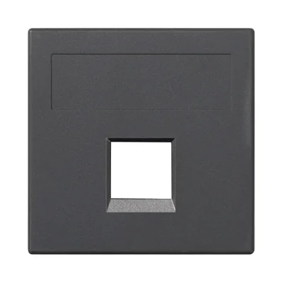 Carte S500 1x RJ sans blindage PANDUIT gris graphite