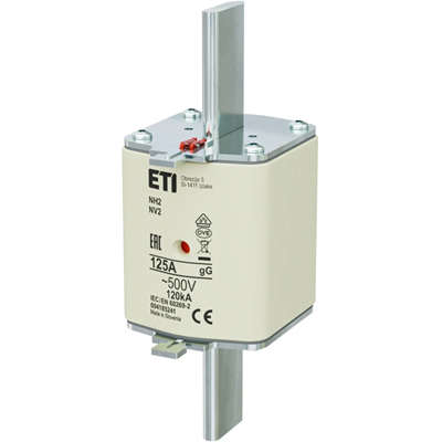 Cartouche fusible industrielle temporisée NH2 gG 125A/500V