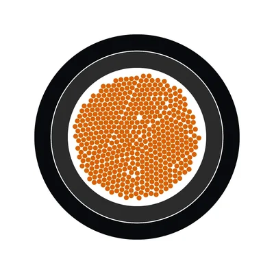 Catena ÖLFLEX 809SC 1x50; Cavo