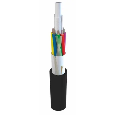 Cavo in fibra ottica per esterni A-DQ(ZN)2Y 12J (1x12), LTC