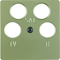 Central plate for four-output antenna socket, light brown, varnished