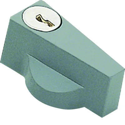 Cerradura con llave n.427 gris