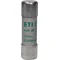 CH14x51 aM 40A/500V Zylindrische Sicherung