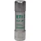 CH14x51 aM 40A/500V Zylindrische Sicherung