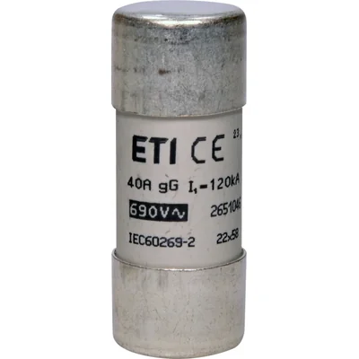 CH22x58 gG 40A/690V Enlace fusible cilíndrico