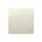 Chiave singola con pittogramma chiave, beige