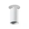 CHIRO GU10 DTO-W Ceiling spotlight