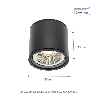 CHLOE AR111 Boîtier GU10 250V IP65 120x115mm Noir rond fixe