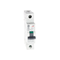 Circuit breaker 1-pole G61 C50 1P 50A 6kA
