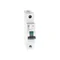 Circuit breaker 1-pole G61 C50 1P 50A 6kA