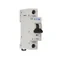 Circuit breaker, 2A, 1 pole, FAZ-C2/1-DC