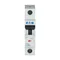 Circuit breaker, 63A, 1 pole, FAZ-Z63/1