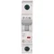 Circuit breaker HN-C16/1 16A 1P 6kA C 230V IP20 type AC