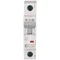 Circuit breaker HN-C16/1 16A 1P 6kA C 230V IP20 type AC