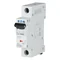 Circuit breaker PL6-C4/1 4A 1P 6kA C 230V IP20