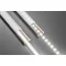 COB LED PÁSEK 12V, 480LED/m, 8mm, 10W/m, BEZ GELU, NEUTRÁLNĚ BÍLÁ, 2x1m MINI AMP KABEL, 5m ROLKA