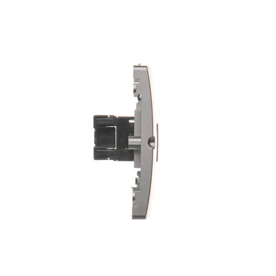 Computersteckdose RJ45 einzeln Kat. 5e (Modul) Inox (metallisch)