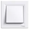Conector ASFORA de 1 polo con terminales de tornillo, blanco
