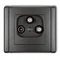 Conector de abonado FLEXI, 2 salidas SAT + TV, grafito