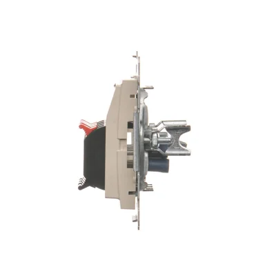 Conector hembra de altavoz de 4 vías con campo rotulado (módulo), crema