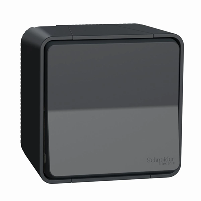 Connecteur MUREVA STYL IP55 2 pôles anthracite