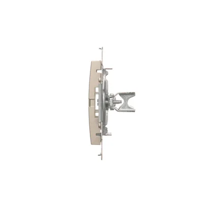 Copertura del telaio (modulo). Fissaggio con clip o viti, oro (metallizzato)