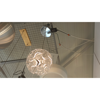 Coral Ball Suspension Transparent hanging lamp